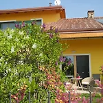 Mimosa E Lilla