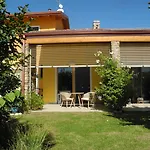 Mimosa E Lilla