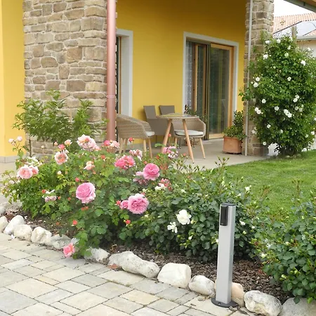 Mimosa E Lilla 弗马尼