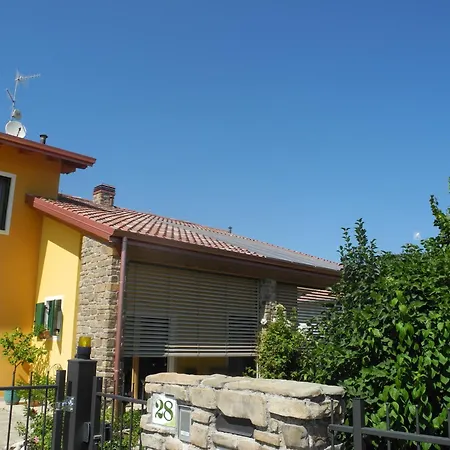 Mimosa E Lillà