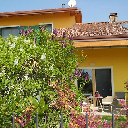 Mimosa E Lilla