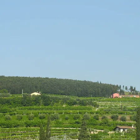 Mimosa E Lillà Bed & Breakfast 3*
