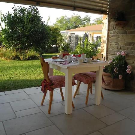 Mimosa E Lillà 3*