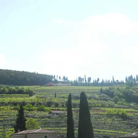 Mimosa E Lillà Fumane