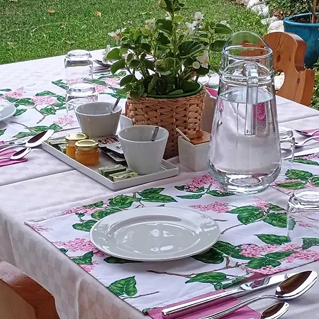 Mimosa E Lilla 弗马尼