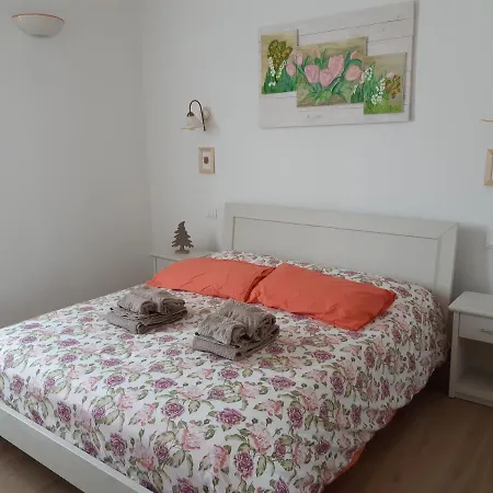 Mimosa E Lilla