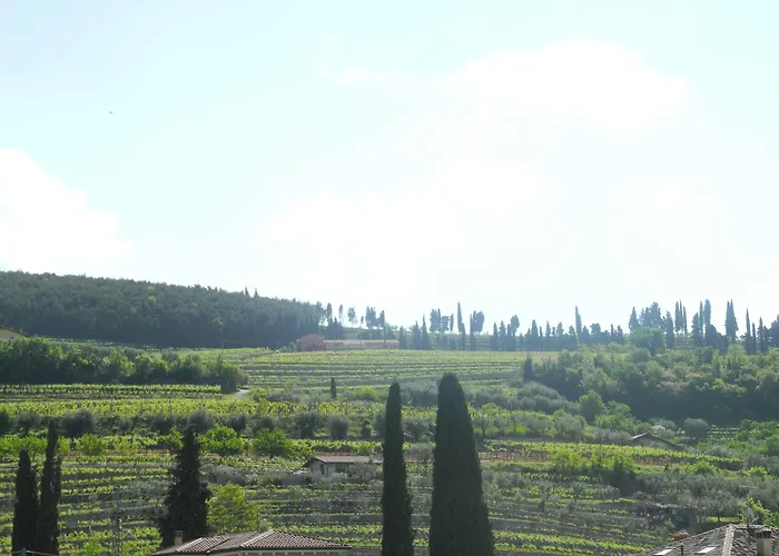 Mimosa E Lilla Fumane