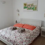 Mimosa E Lillà