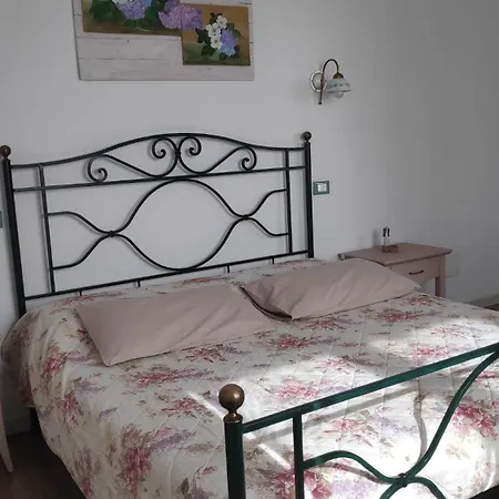 Mimosa E Lilla Фумане