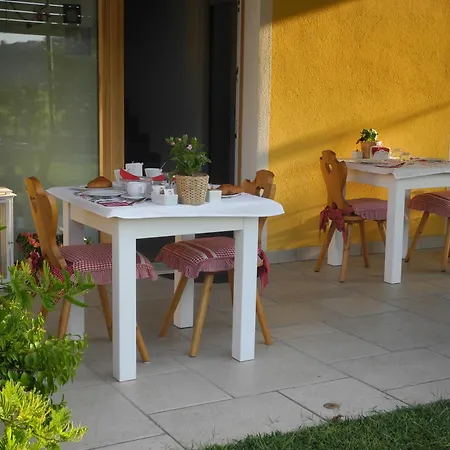 Mimosa E Lillà