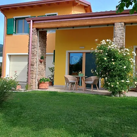 Mimosa E Lilla