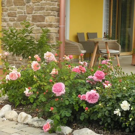 Mimosa E Lilla Frühstückspension